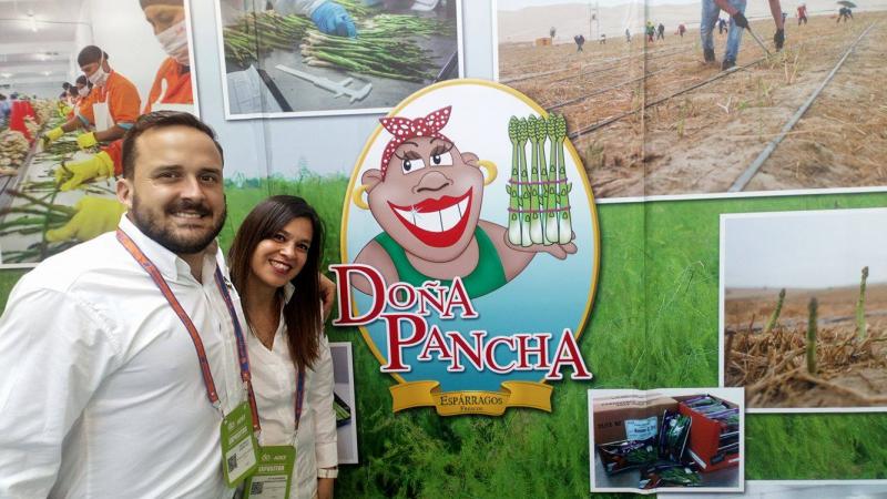 Doña Pancha exportaría 1.250 toneladas de espárragos frescos este año