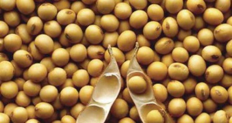 Dos nuevos estudios evidencian aumento en adopción de cultivos biotecnológicos en casi cinco millones de hectáreas durante el 2017