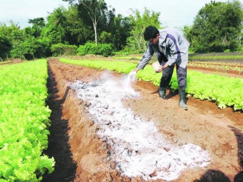 DRA Junín entregó 32 toneladas de cal agrícola a productores de Satipo