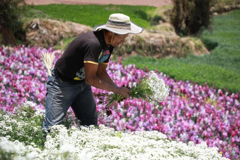 DRA Junín impulsará proyectos de inversión para apoyar a floricultores de Tarma