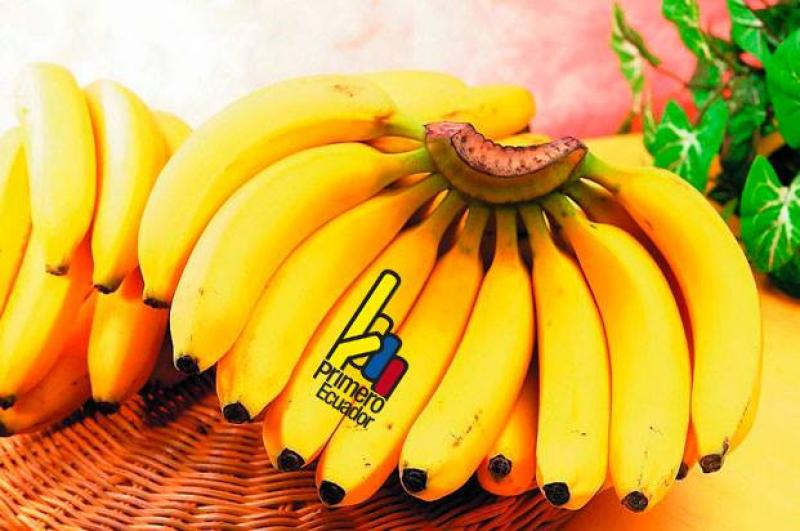 Ecuador exportó 355 millones de cajas de banano en 2023, registrando un aumento de +5%