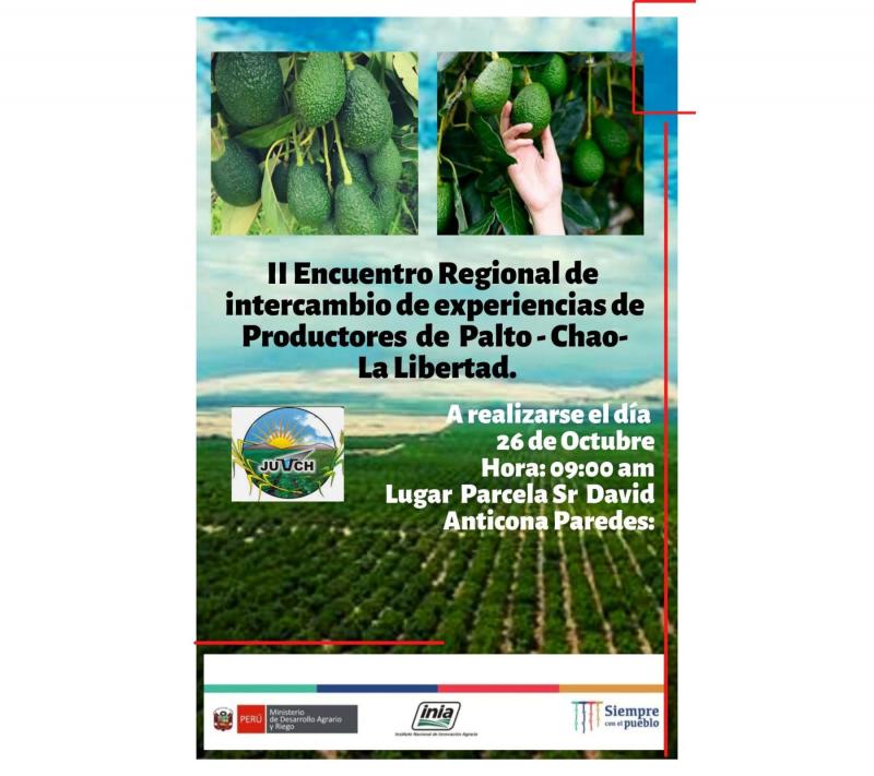 EEA Virú del INIA, realizará “II Encuentro Regional de Intercambio de Experiencias de Productores de Palto en Chao- La Libertad”