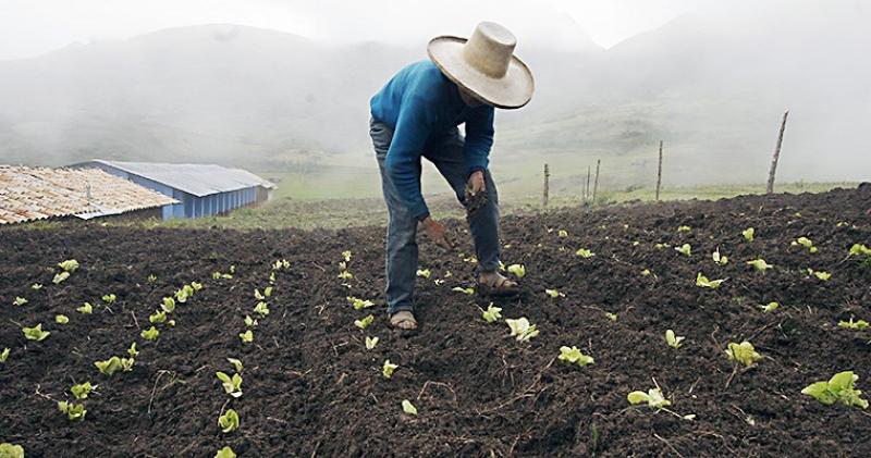 Ejecutivo de acuerdo con ampliar plazo para acogerse a condonación de deudas agrarias