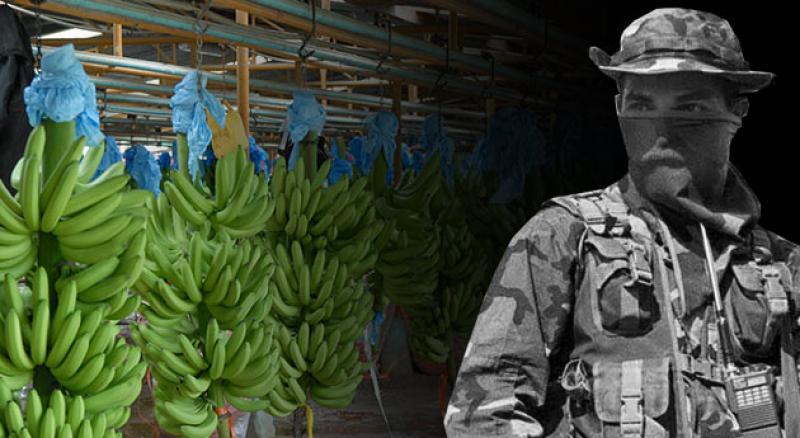 EJECUTIVOS DE CHIQUITA ENFRENTARÁN A LA JUSTICIA POR FINANCIAR A LA GUERRILLA EN COLOMBIA