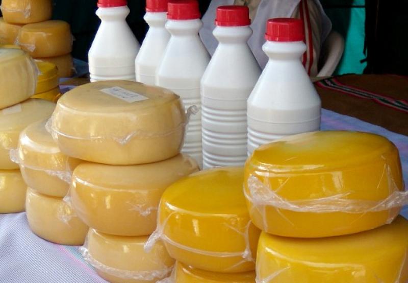 El 43% de la producción nacional de leche se destina a la elaboración de quesos y derivados lácteos