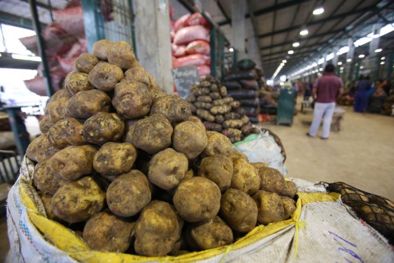 El 56.3% de la papa que ingresó al GMML EL 2016 provino de Huánuco y Junín