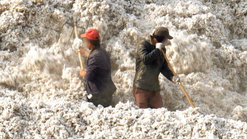 El algodón "manchado" de China