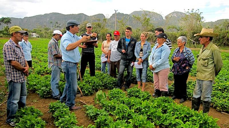 Apoyo a la Agricultura Sostenible