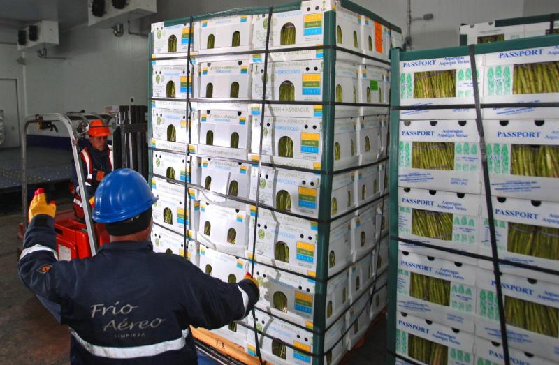 El complicado escenario que enfrentan los exportadores de alimentos rechazados en destino por límites de plaguicidas