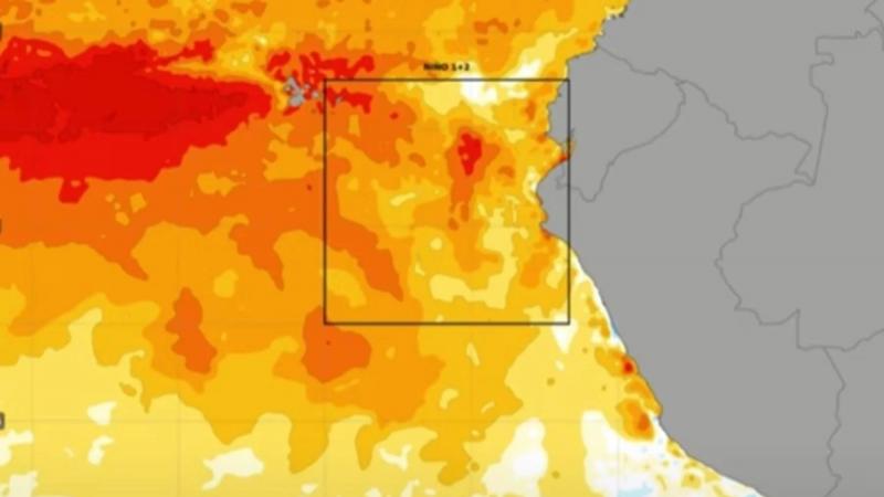 El Fenómeno del Niño Costero: Impacto y Perspectivas para la Agricultura en 2026