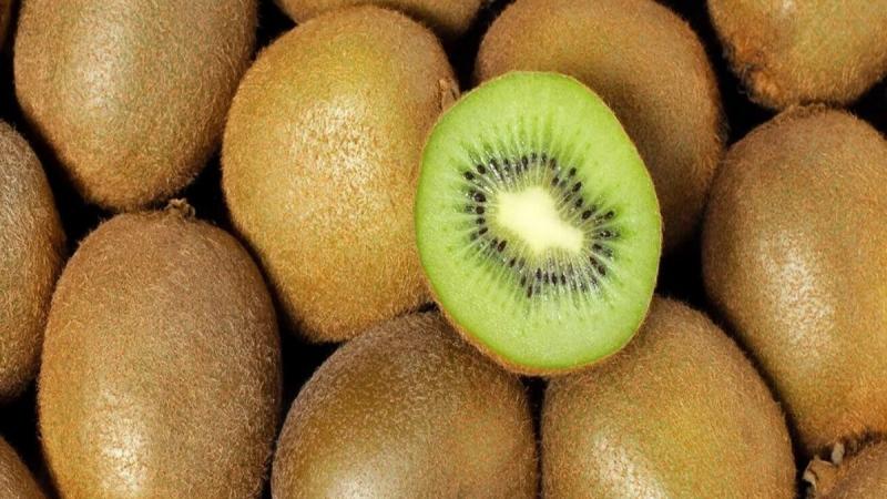 El kiwi chileno acelera su expansión. India, Brasil y EE. UU. aumentan el consumo