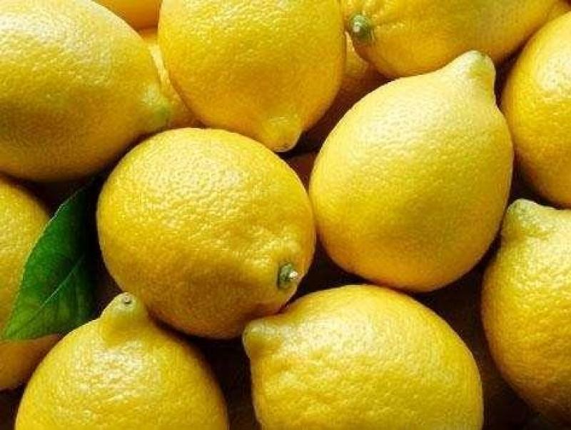 “El limón Tahití es uno de los cultivos de crecimiento más acelerado del país”