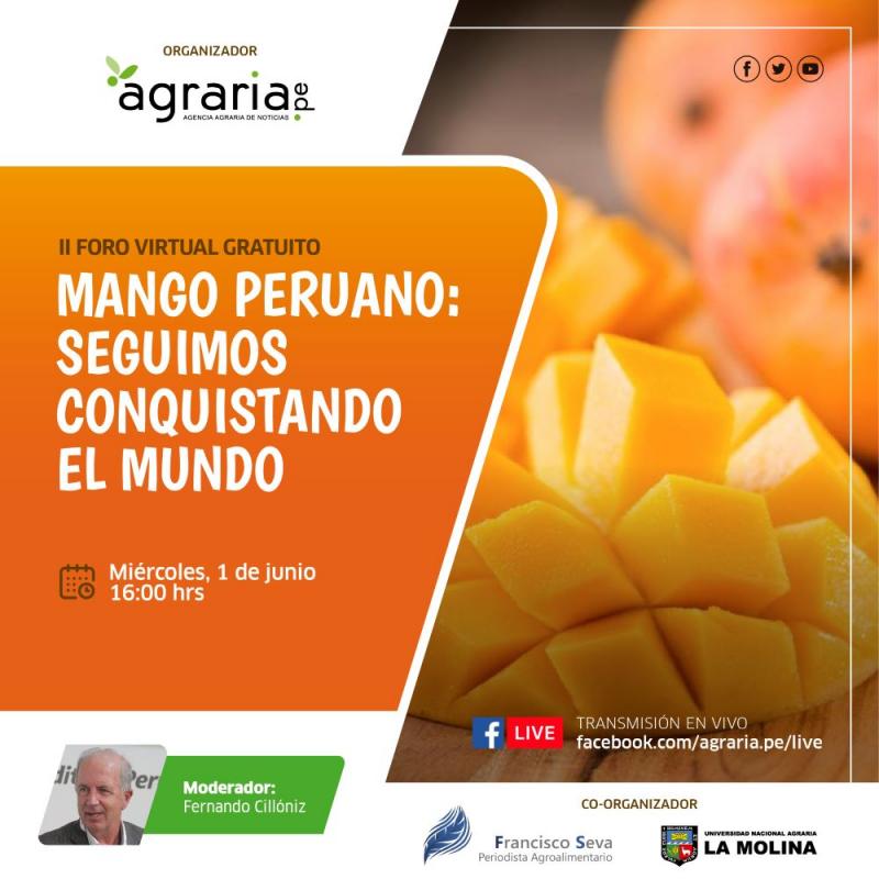 El mango peruano a la conquista el mundo