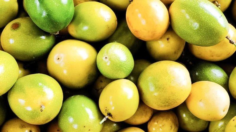 El maracuyá de Quilmaná fortalece sus oportunidades de negocio con una nueva articulación comercial