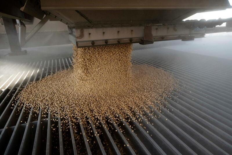 El Niño impactará con una tendencia alcista en los mercados del trigo