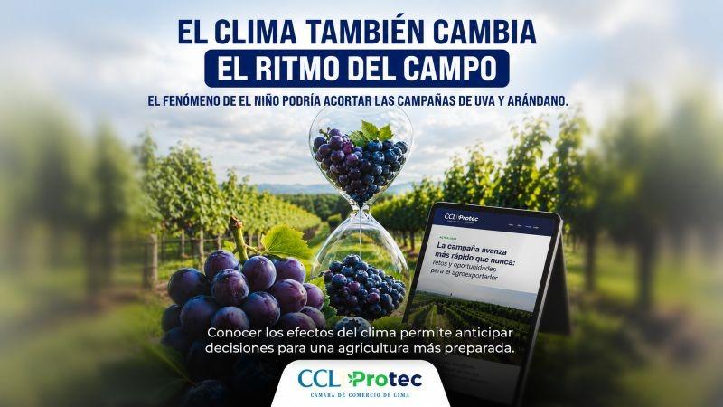 El Niño: pequeños y medianos agricultores requieren apoyo del estado para afrontar las altas temperaturas