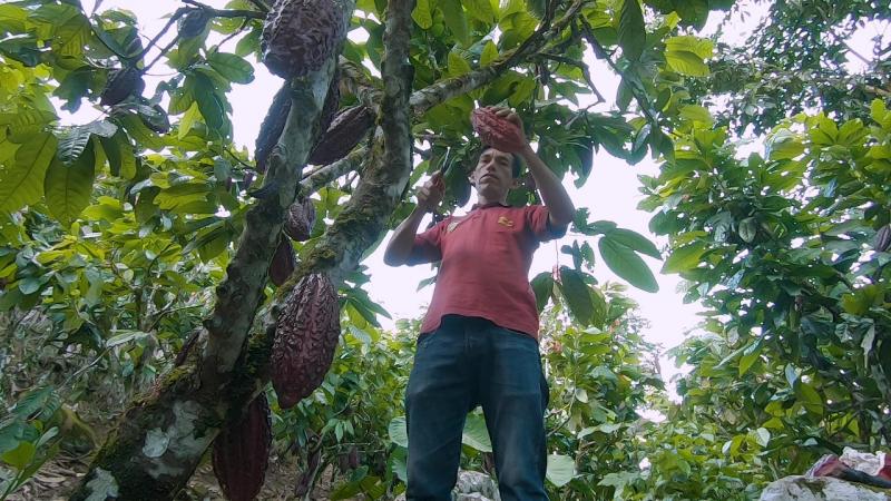 ¿El pequeño y mediano agricultor peruano puede mejorar su productividad?