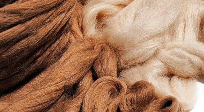 El potencial de Europa como mercado para las exportaciones peruanas de prendas de pelo fino