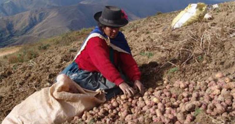 “Ella Alimenta al Mundo” proporcionan recursos y capacitaciones a agricultoras para aumentar rendimiento de sus cultivos y sus ingresos