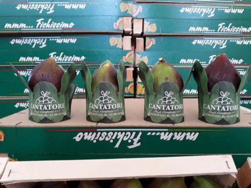 Embalan higos en papel de piedra para protegerlos de las  bacterias