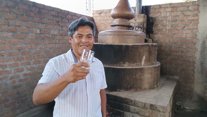 Empieza producción del destilado ‘morino’ en Áncash