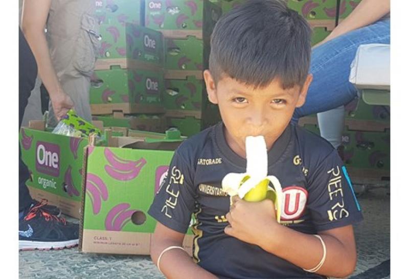 Empresa bananera donó parte de su producción ecológica a los afectados por lluvias en Piura