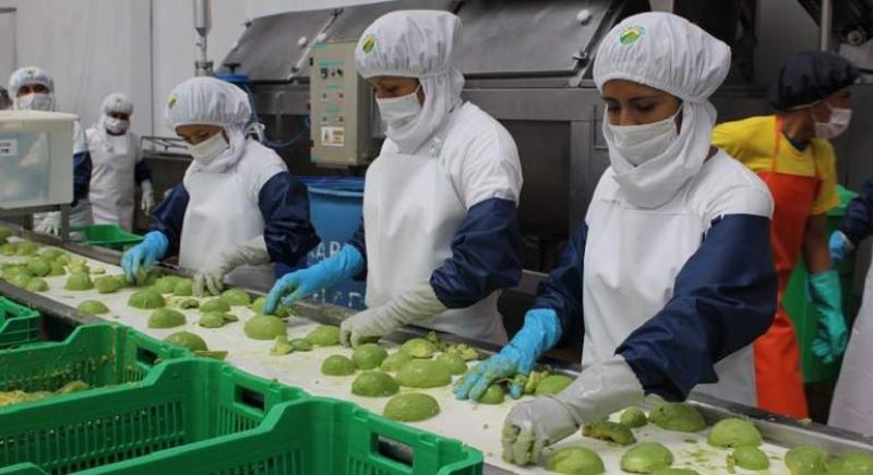 En el 2025, se registraron 2.742 empresas agroexportadoras peruanas