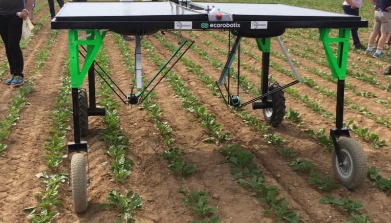 En el mundo ya más de 30.000 robots realizan tareas agrícolas