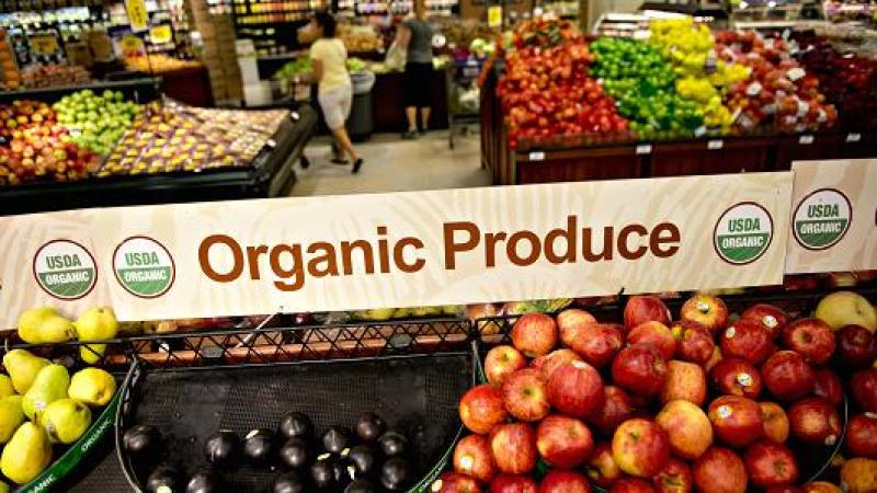 “En Estados Unidos, del total de ventas alimenticias, ya el 5 a 6% corresponde a productos orgánicos”