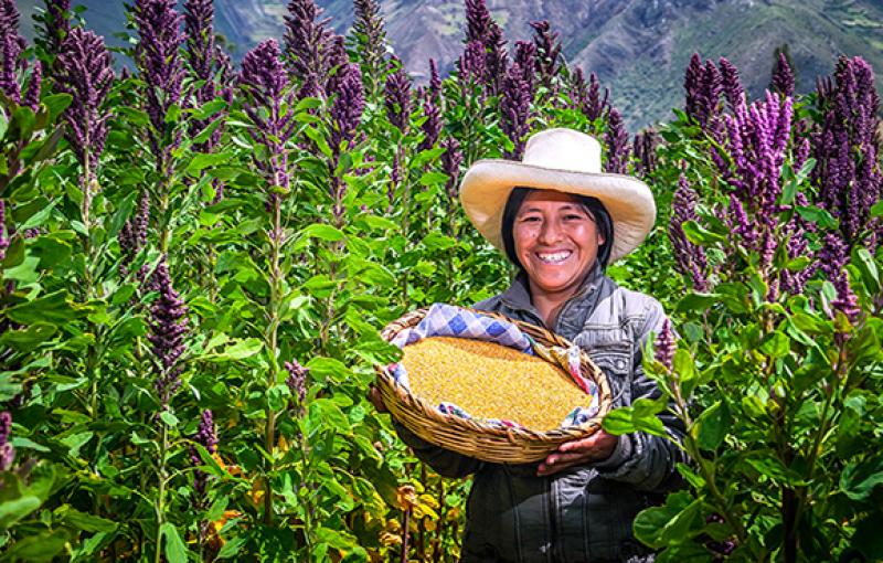 “En los próximos cinco años los granos andinos deberían ocupar un liderazgo importante en el mercado internacional”