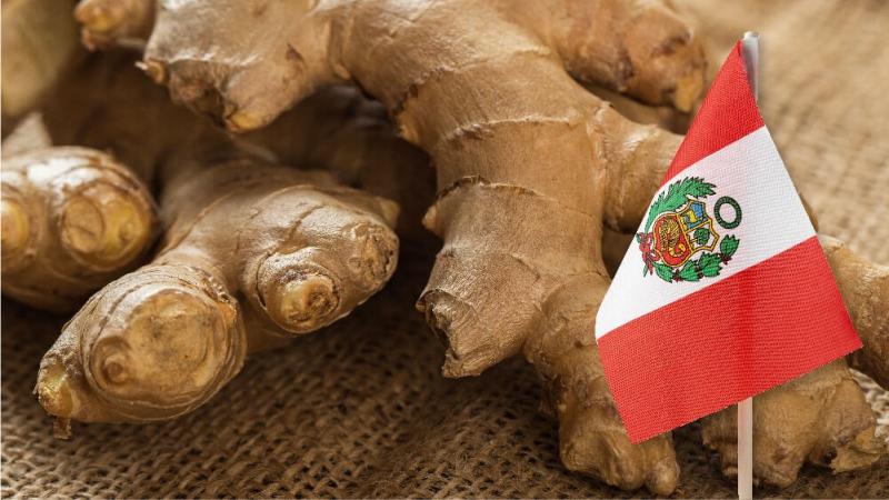 En los últimos años, los productos con mayor demanda en el mercado orgánico incluyen el kion, la palta y el café