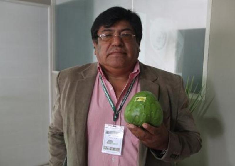 En los últimos doce años se instalaron en promedio 27.3 hectáreas de frutas al día en Perú