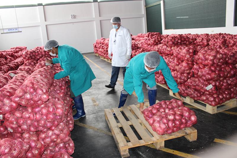 En los últimos meses autorizaron ocho plantas de procesamiento agrícola en Tacna