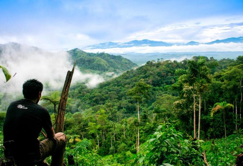 En San Martín se logra la primera zonificación forestal del país