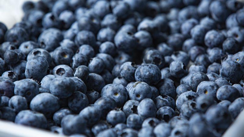 En una década: exportación peruana de arándano fresco creció en promedio anual 43.3%