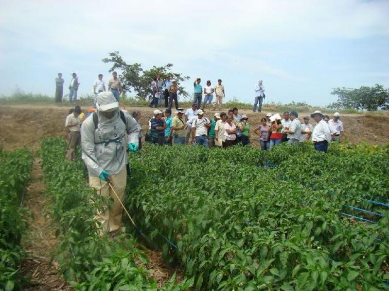 ENCADENAMIENTOS PRODUCTIVOS GENERARON 900 MIL EMPLEOS INDIRECTOS