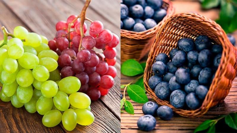 Entre enero y febrero, exportaciones de frutas sumaron US$ 1.384.200.000