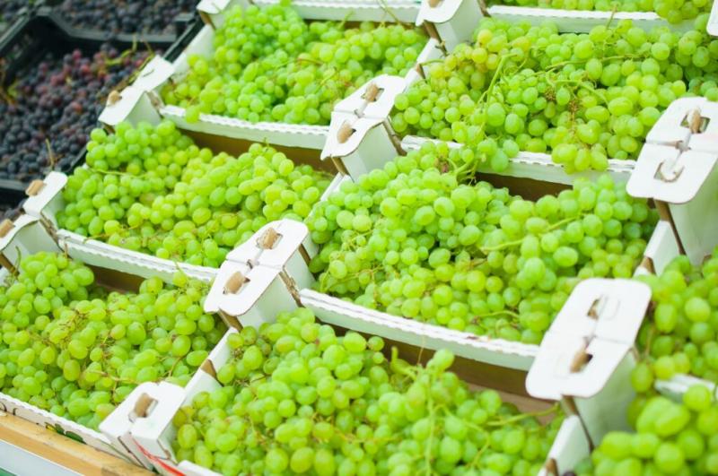 Envíos de uva de mesa de Perú y Chile crecerán está temporada en Estados Unidos