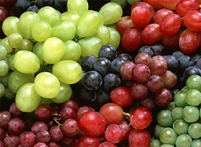 ENVÍOS DE UVAS PERUANAS A CHINA CRECIERON 133.6% 