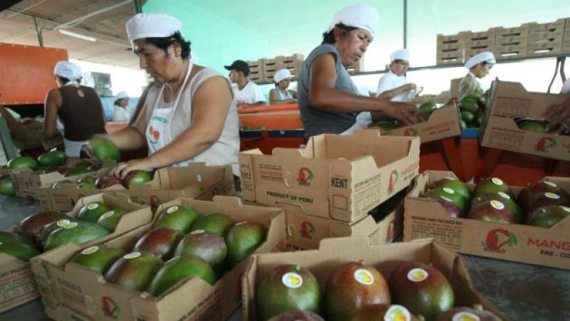 ENVÍOS NO TRADICIONALES REGIONALES CRECIERON 14.9% EN EL PRIMER SEMESTRE DEL AÑO