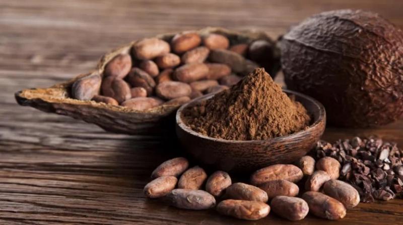 Escasez global de cacao favoreció a los productores latinoamericanos