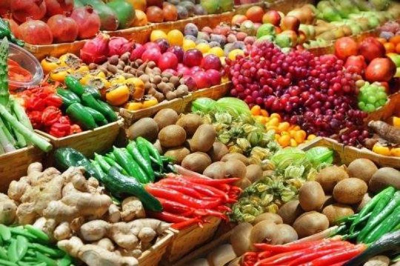 España importó 2.7 millones de toneladas de frutas y hortalizas frescas entre enero y septiembre de 2022, mostrando un aumento de 7%