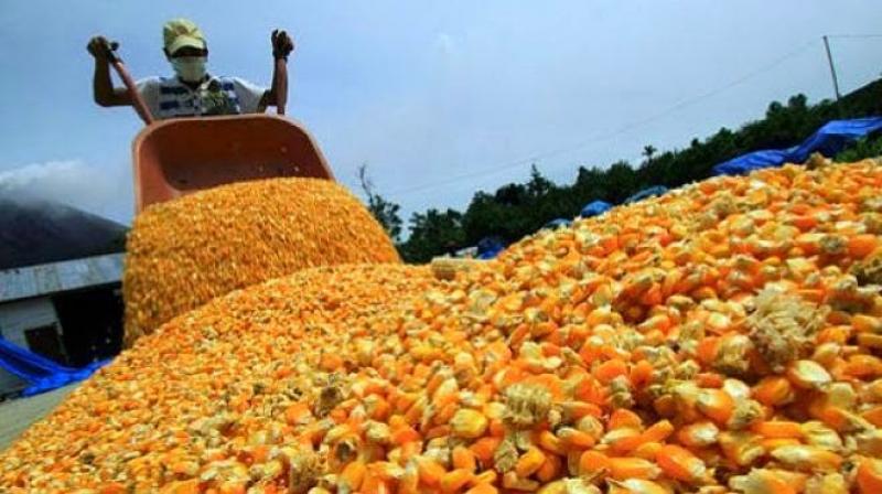 Estado Peruano dejó de percibir US$ 3.600 millones por desgravacion arancelaria a la importación de productos agropecuarios desde 2008 a la fecha