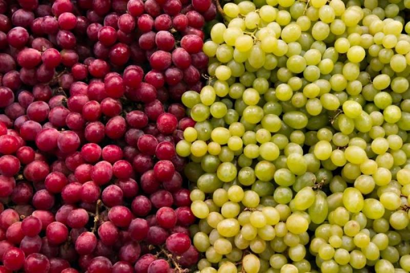 Estados Unidos aumenta demanda de uvas peruanas