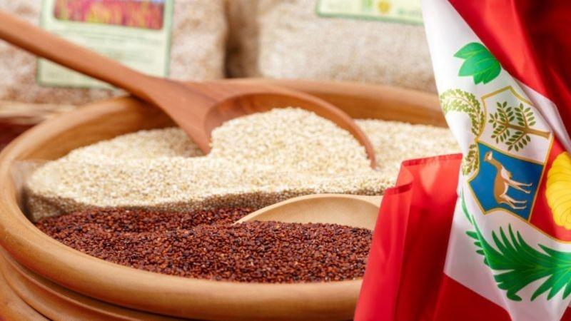 Estados Unidos concentra el 41% de los despachos de quinua peruana