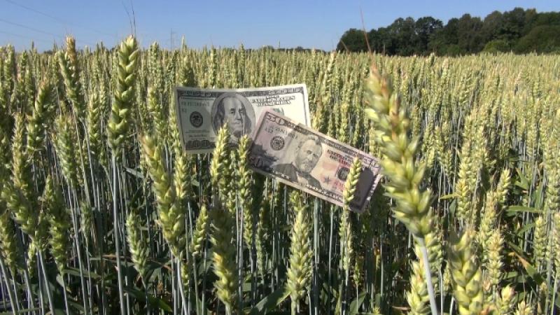 Estados Unidos  destinará US$ 12.000 millones para sus agricultores afectados por aranceles