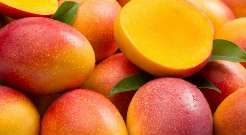 Estados Unidos importó 573.792 toneladas de mango fresco en 2022, mostrando un aumento de +2.5% respecto al 2021