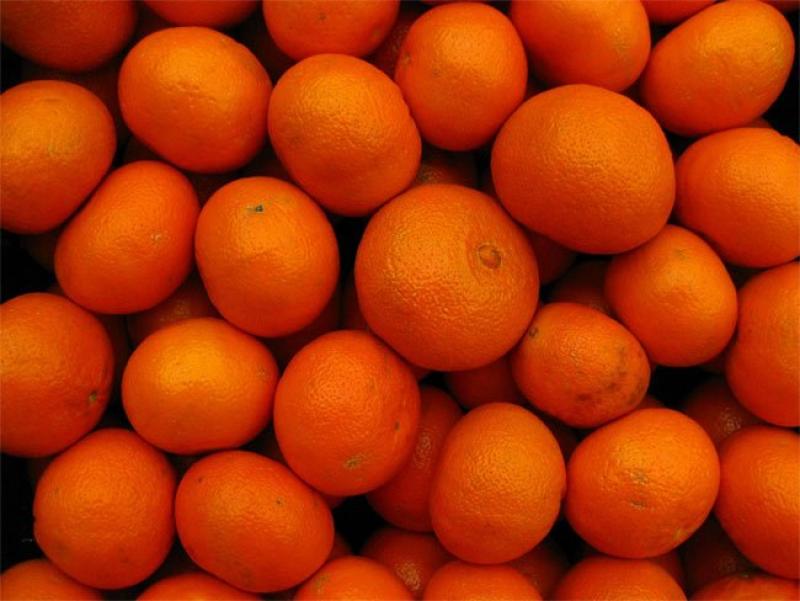 Estados Unidos podría importar más cítricos peruanos