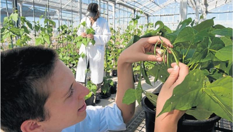 Estudiantes y profesores de la Facultad de Agronomía de la UNALM  presentaron 26 trabajos de investigación