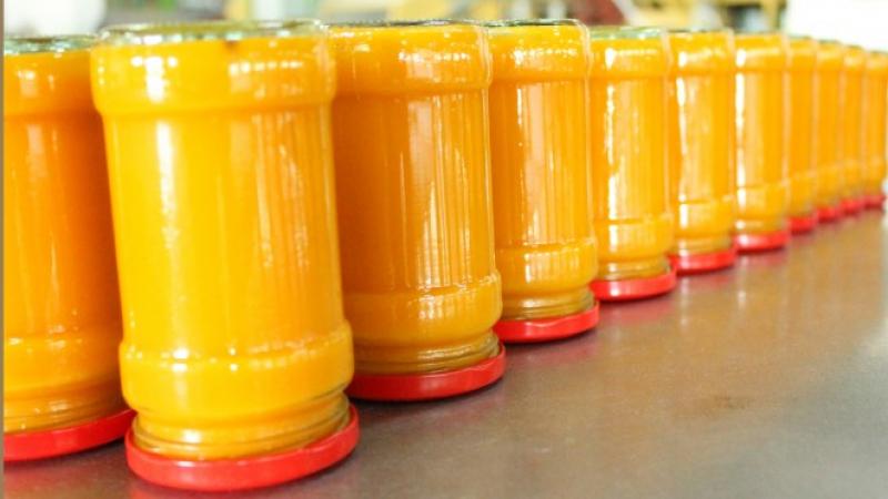 Europa busca cada vez más proveedores de puré de mango